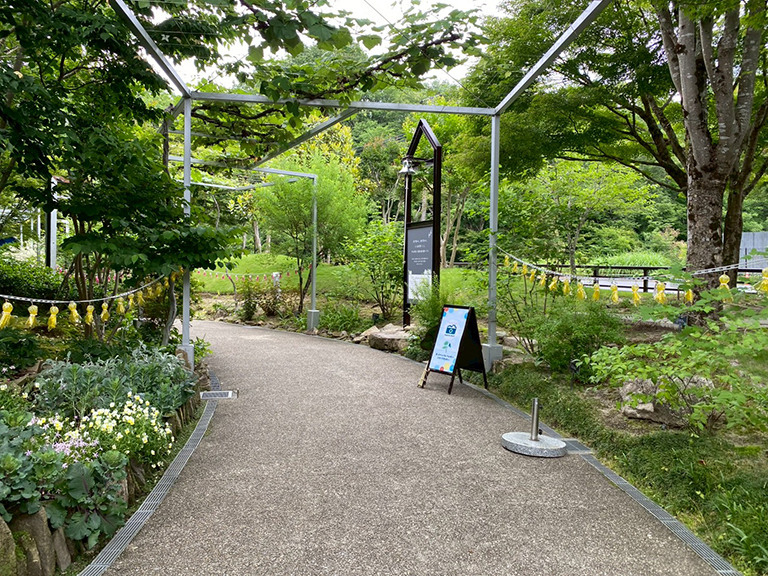 1.ginnomori-honten-36.jpg