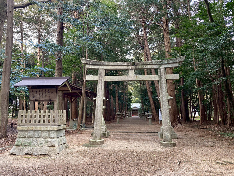 1.nobono-jinja-18.jpg