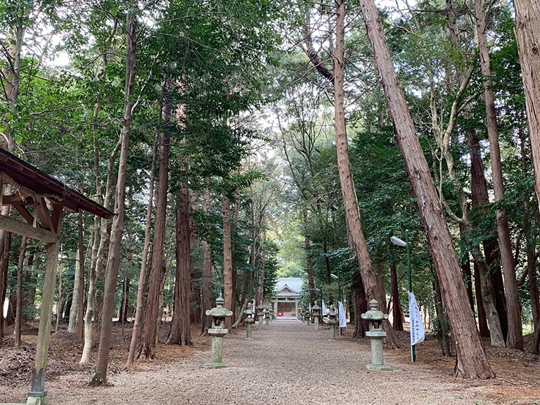 1.nobono-jinja-21.jpg