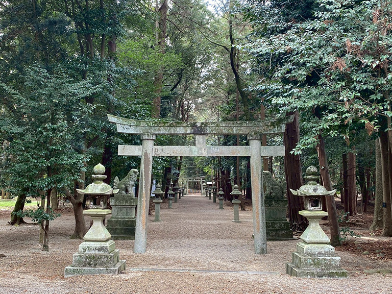 1.nobono-jinja-29.jpg