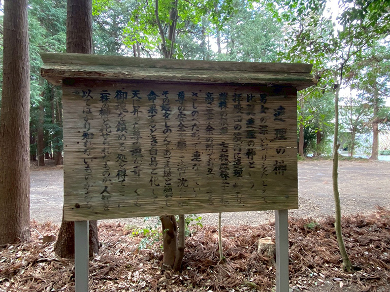 1.nobono-jinja-31.jpg