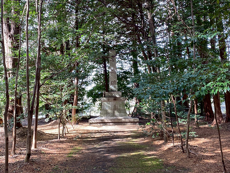 1.nobono-jinja-34.jpg