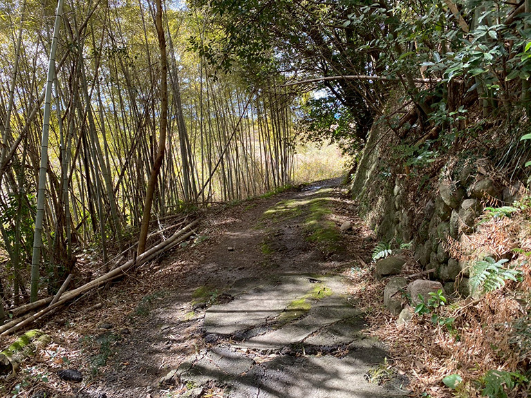 1.nobono-jinja-46.jpg