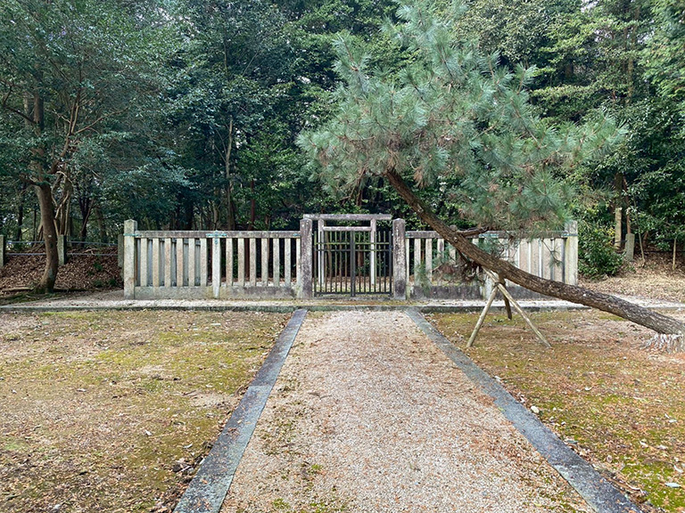 1.nobono-jinja-59.jpg
