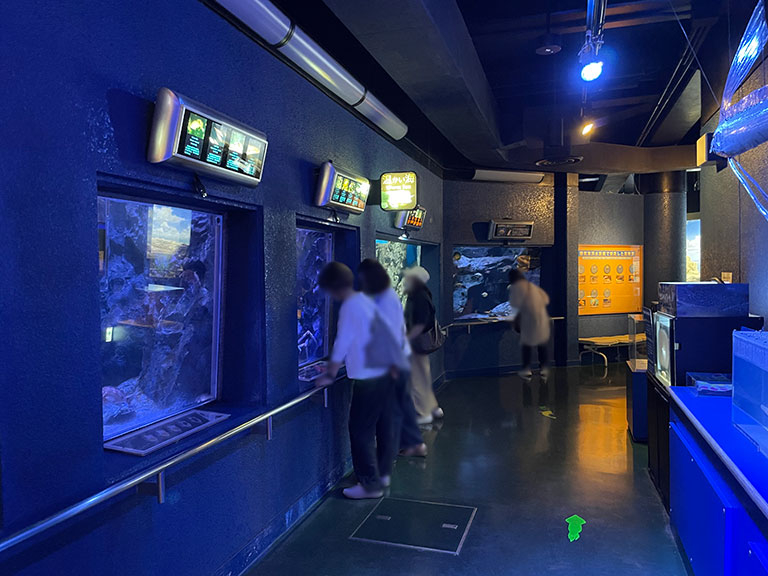 hekinan-seaside-aquarium15.jpg