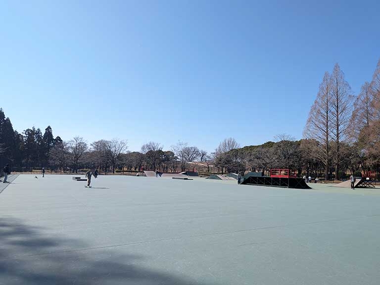 shounairyokuthi-skate-park-1.jpg