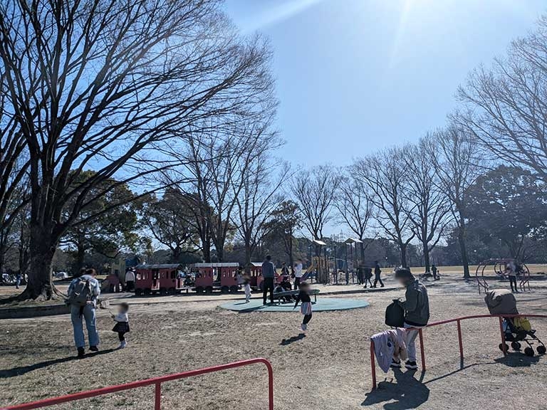 shounairyokuthi-skate-park-13.jpg