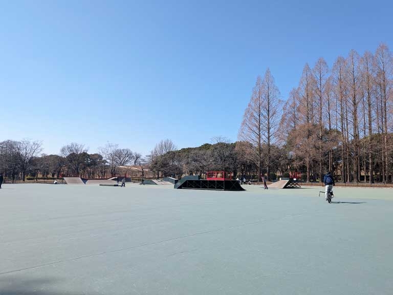 shounairyokuthi-skate-park-2.jpg