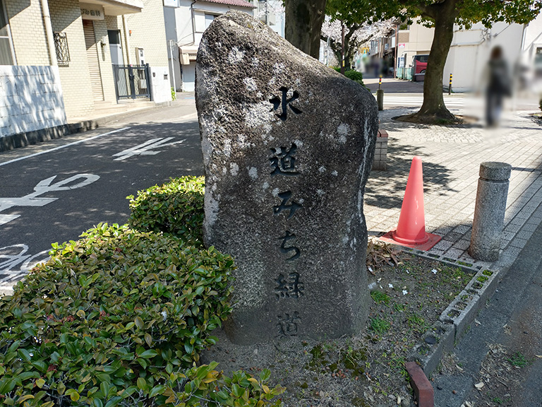 suidomichi-ryokudo-sakura-1.jpg