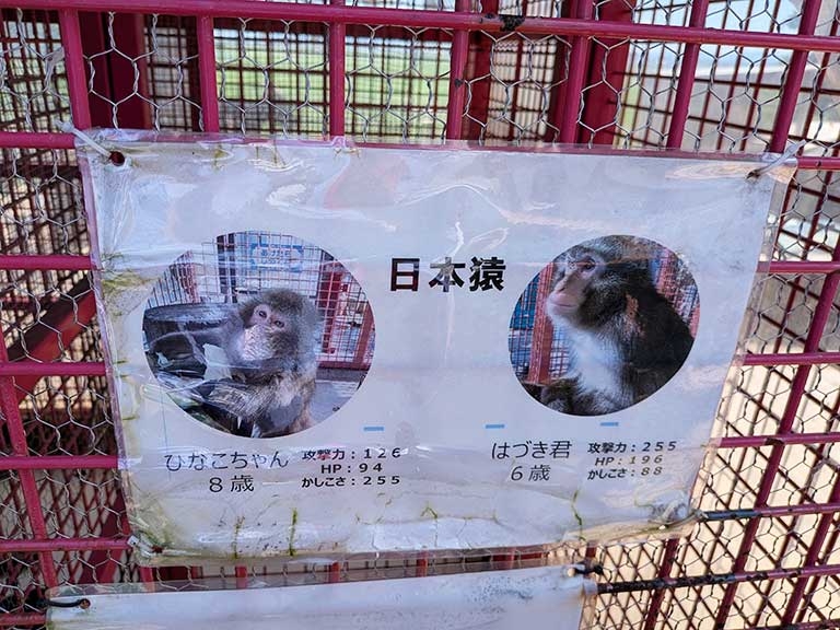 takegawa-fureai-zoo-17.jpg