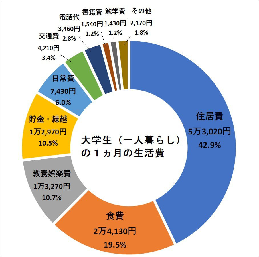 一人暮らし大学生の1ヵ月の生活費のグラフ