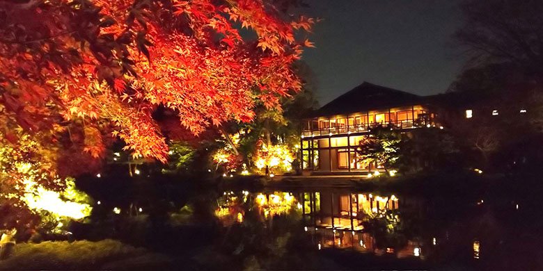 名古屋市東区「徳川園」の紅葉ライトアップイベント～錦を纏う 徳川園紅葉祭～