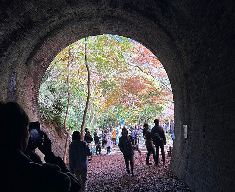 秋の特別公開で見られる「愛岐トンネル群」の紅葉が絶景です！