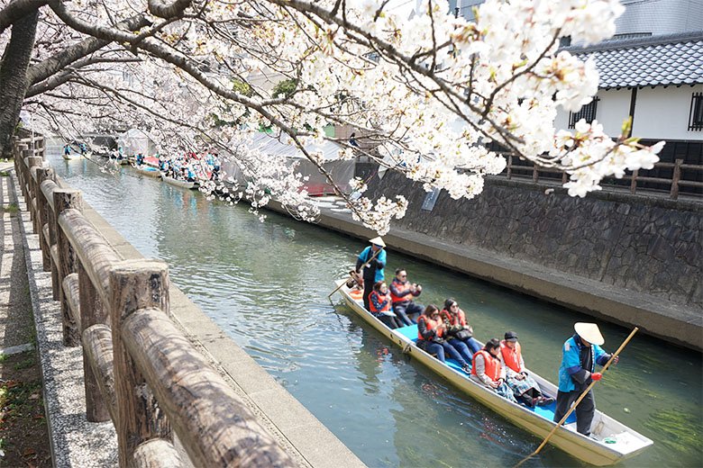 大垣市でたらい舟からゆったり桜を楽しめる「水の都おおがき舟下り」(2019年)
