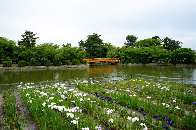 桑名市の「九華公園」はウォーキングやジョギングをするのに最適!