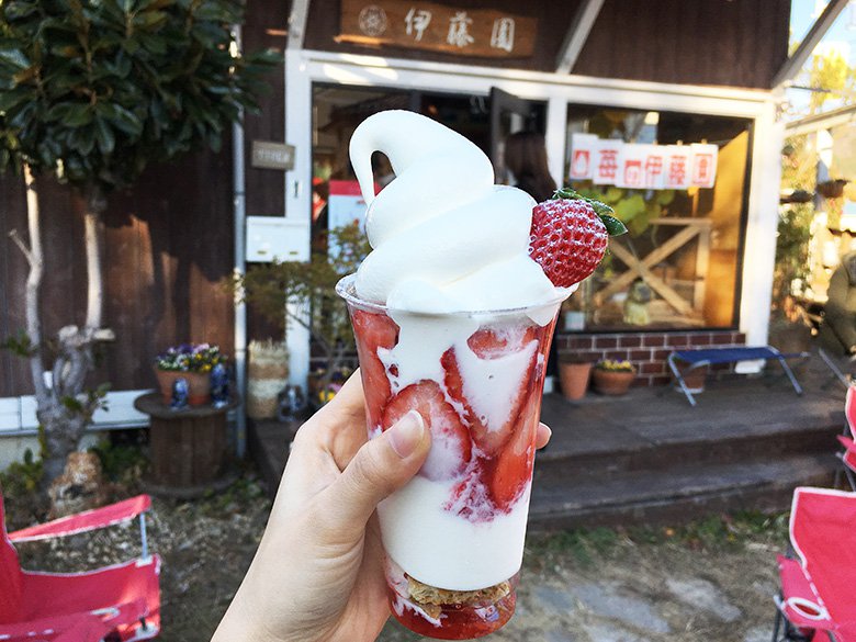 いちごパフェが絶品!岡崎市「苺の伊藤園」で、いちご農家のつくる朝摘み苺スイーツを食べよう!