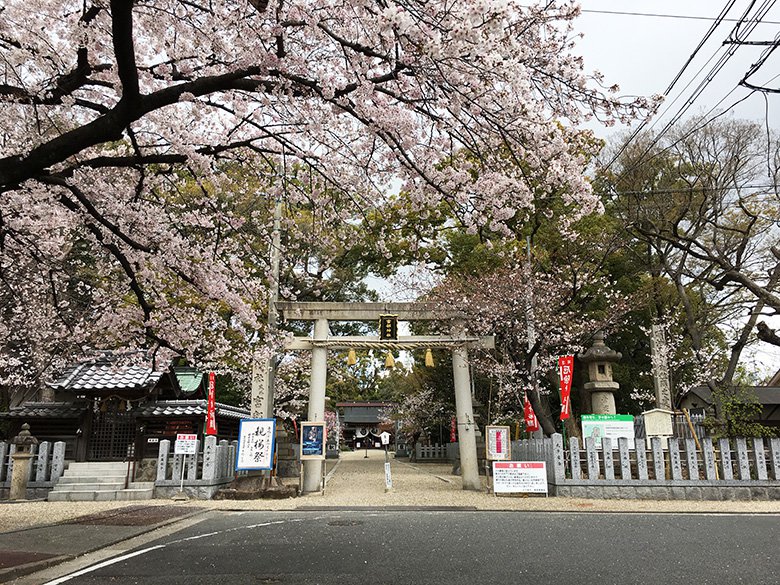 桜が綺麗に咲く名古屋市南区「富部神社」は本殿が国重要文化財に指定されており、御朱印は毎月変わります!