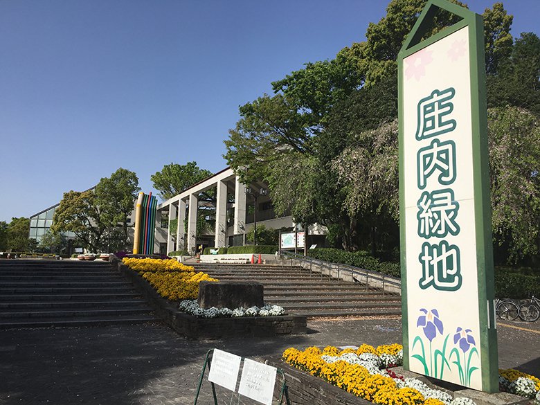 お散歩に、スポーツに、憩いの場「庄内緑地」