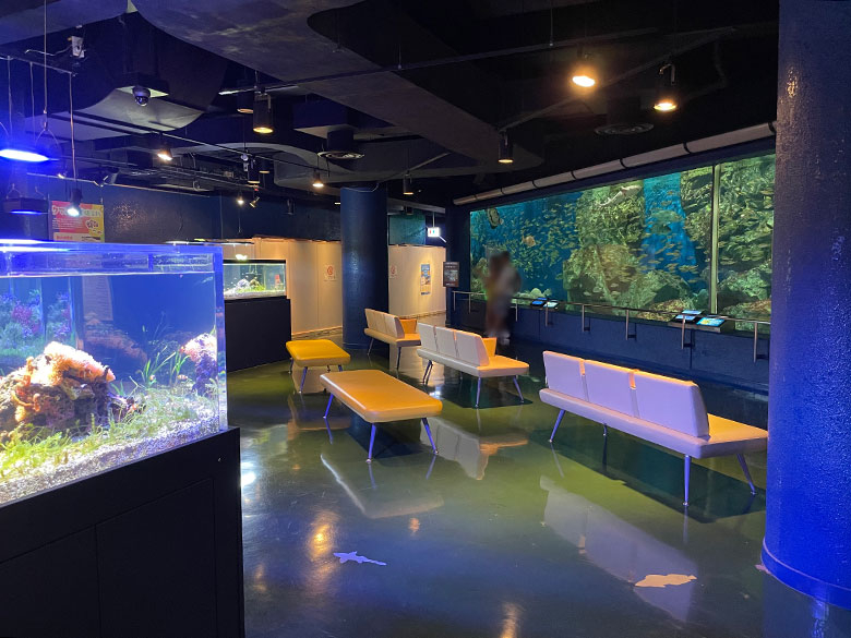 愛知県碧南市「碧南海浜水族館」は小さい子ども連れにぴったり！館内の様子をレポート