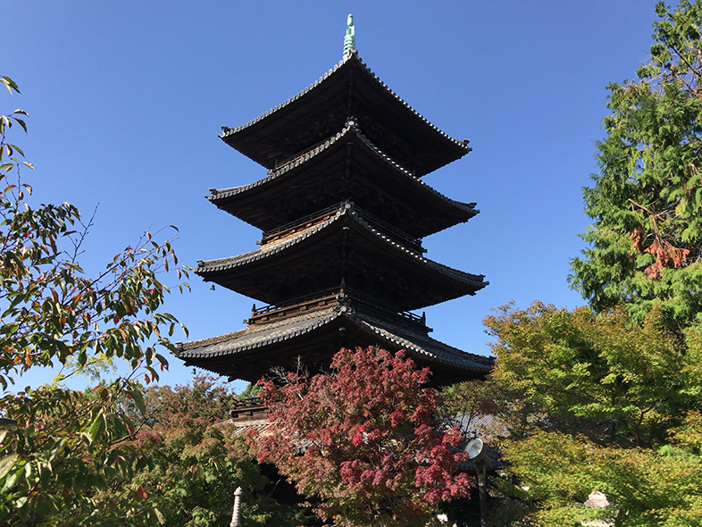 緑豊かな「八事山 興正寺」で、のんびりゆったりとしたお散歩はいかがですか。