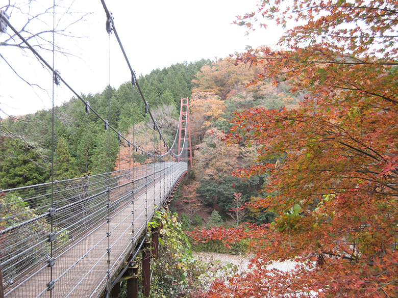 今年の紅葉狩りはココに決まり!大垣市の「多良峡森林公園」の絶景紅葉は一度見るべし!