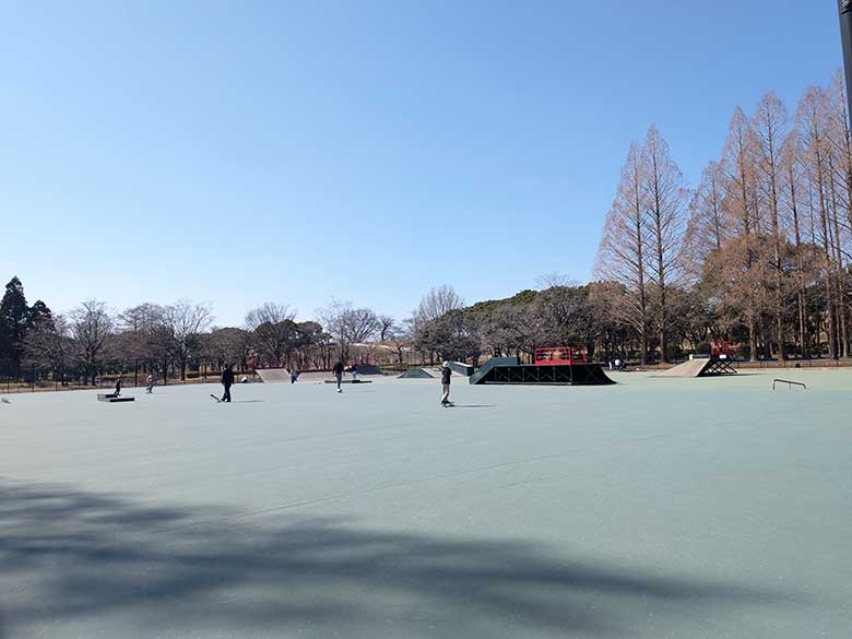 名古屋市西区「庄内緑地スケートパーク」を徹底チェック！遊具やサイクリングも楽しめる人気スポット