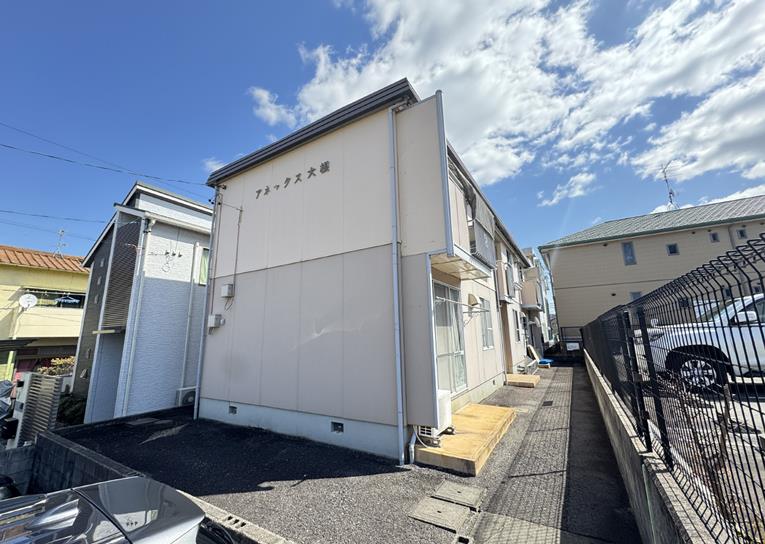 アネックス大根の外観