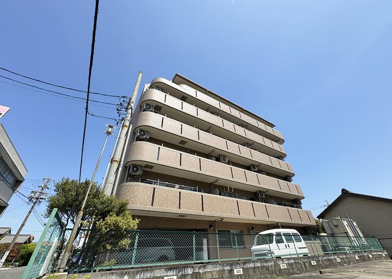 ラピスラズリTNの外観