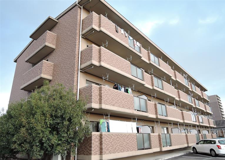 セルサスコロクの外観