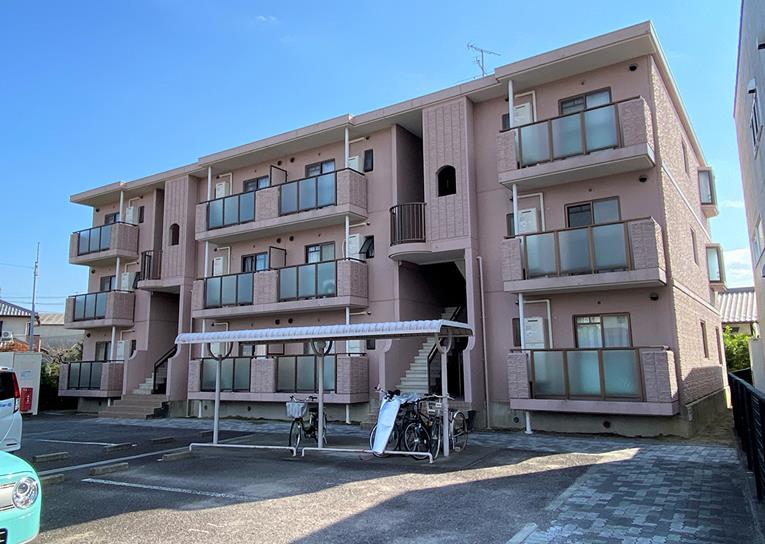 パラシオイトウの外観