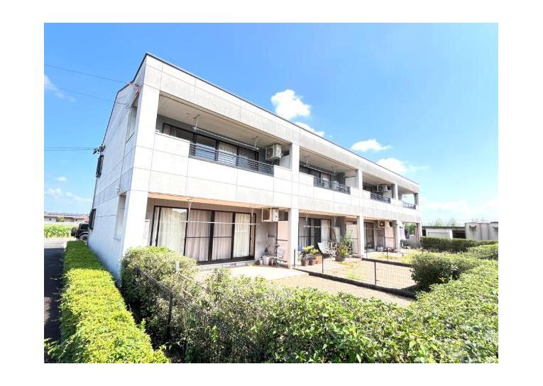 カトレアの外観