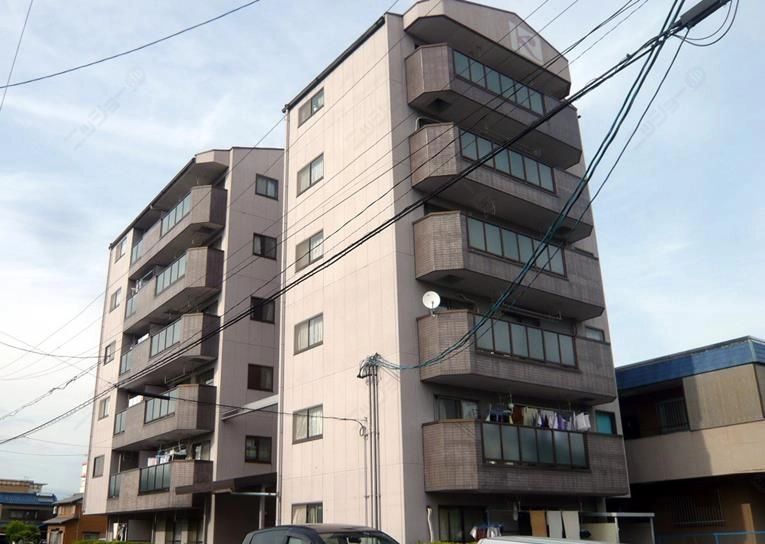 パレヒロコウジの 外観