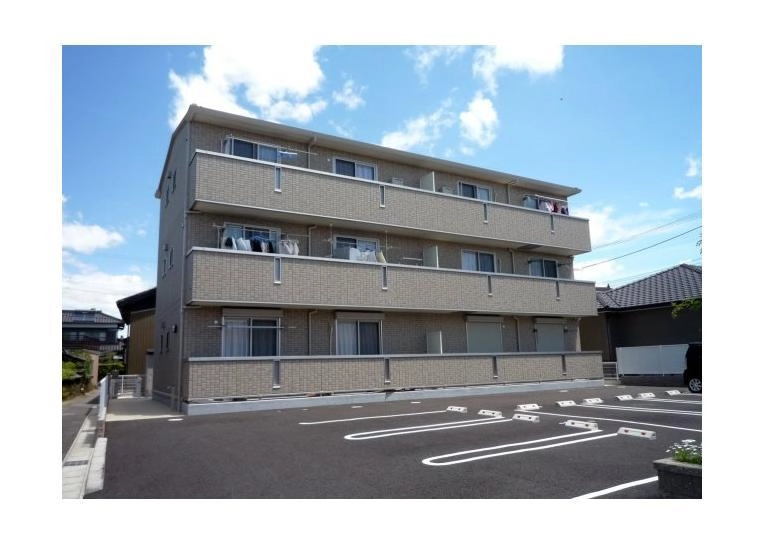 アムール中手の外観