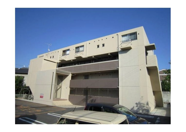 キーウィの外観