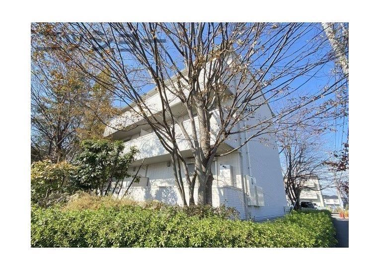 ハイツシダーフォレストⅡの外観