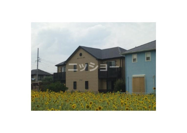 アンプルール リーブル PapillonAの外観