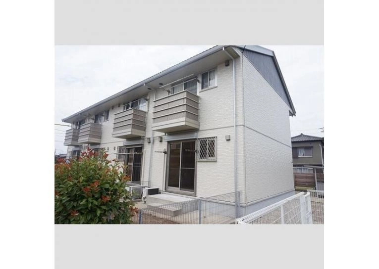 カモミールの外観