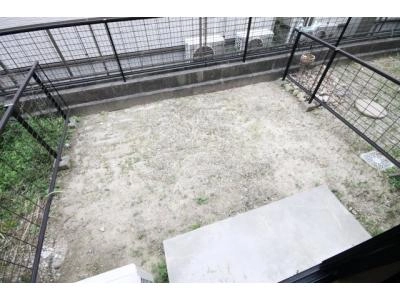 庭