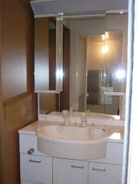 シャンプードレッサー