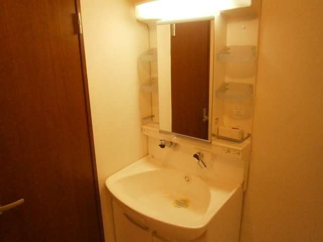 シャンプードレッサー