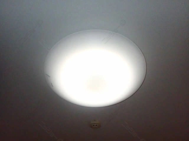照明