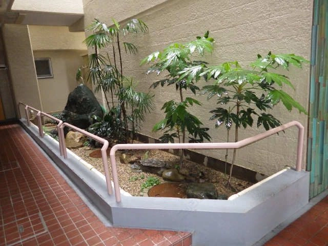 中庭