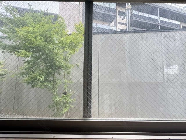 南側リビング腰高窓眺望