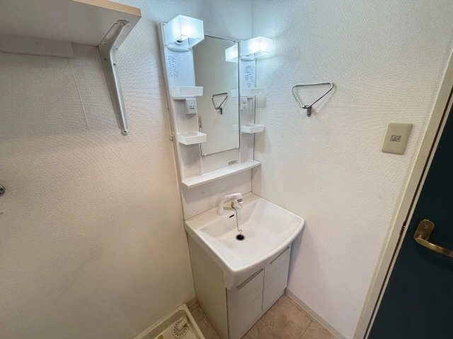 シャンプードレッサー