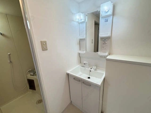 シャンプードレッサー