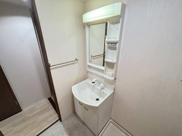 シャンプードレッサー