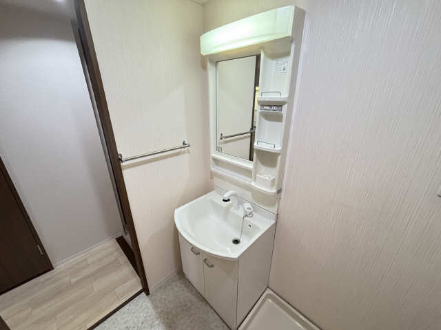 シャンプードレッサー