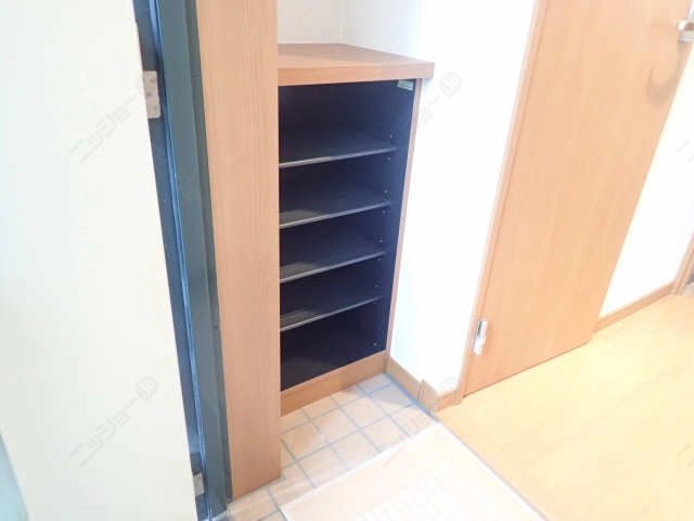 シューズ  ボックス