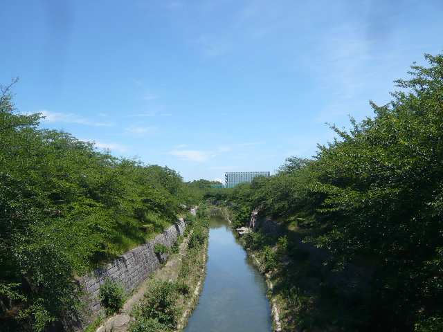 山崎川