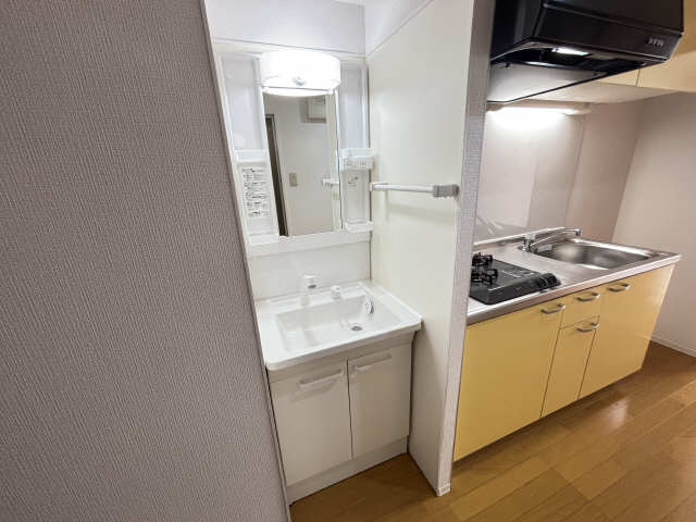 シャンプードレッサー